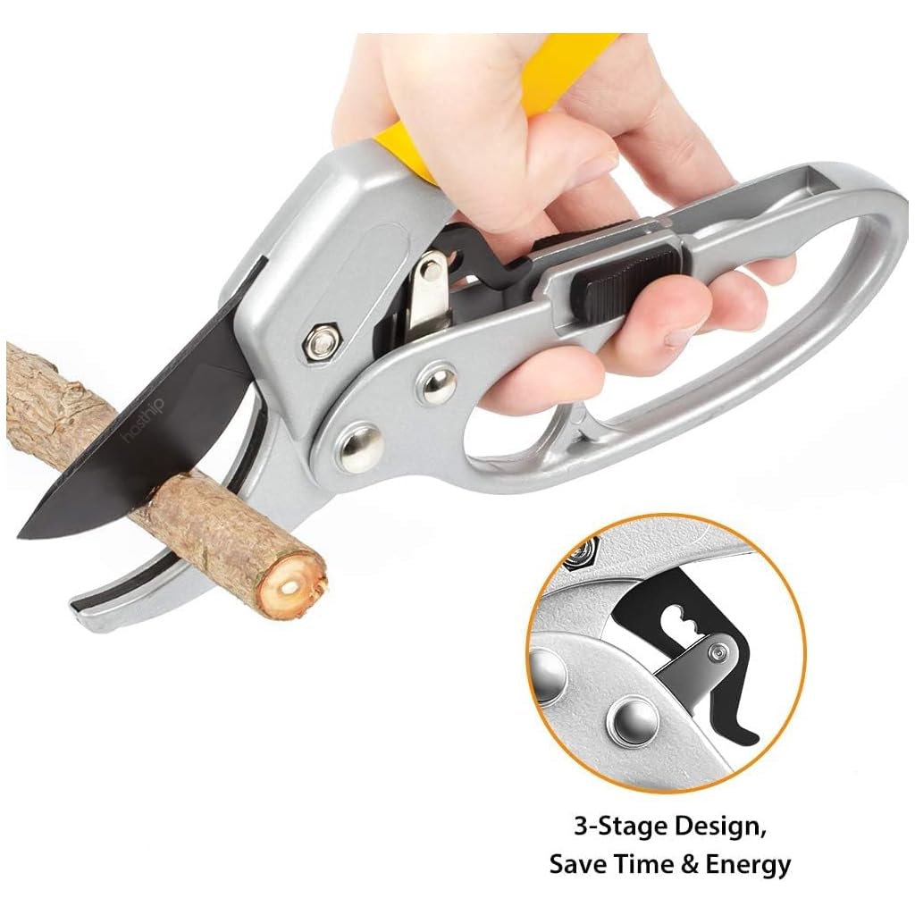 Professional Stainless Steel Garden Pruning Scissors – Sharp Garden Shears with Safety Lock
