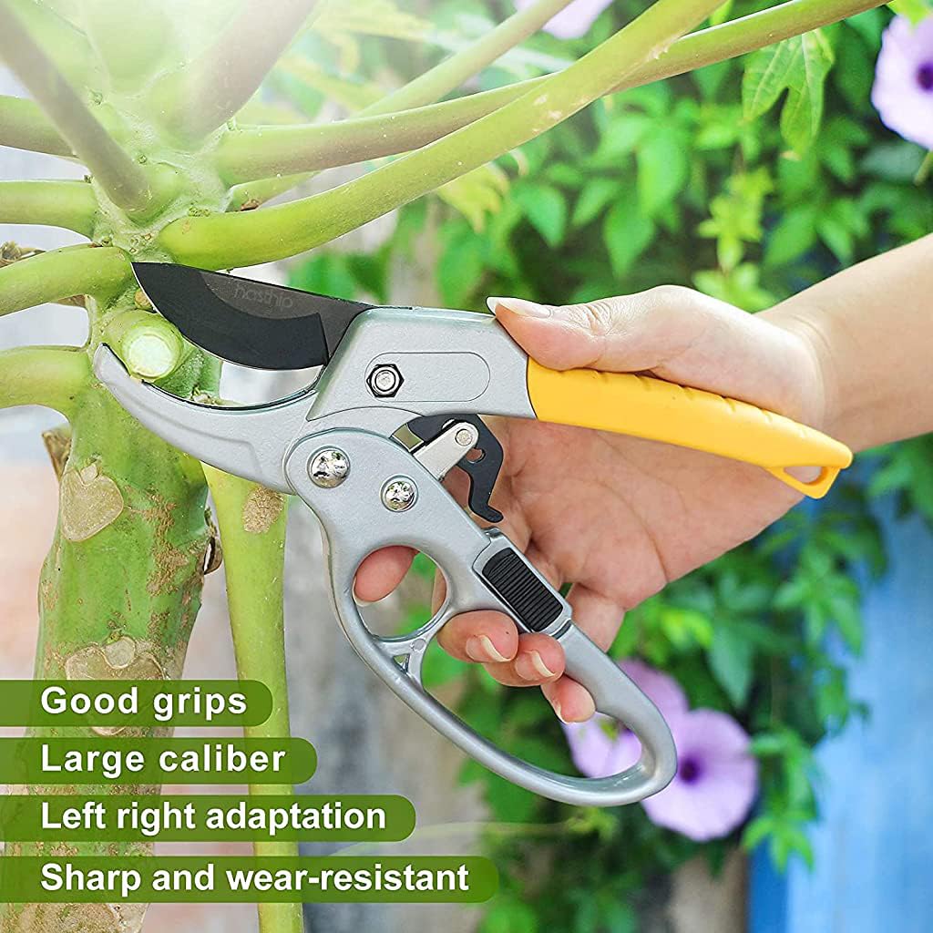 Professional Stainless Steel Garden Pruning Scissors – Sharp Garden Shears with Safety Lock