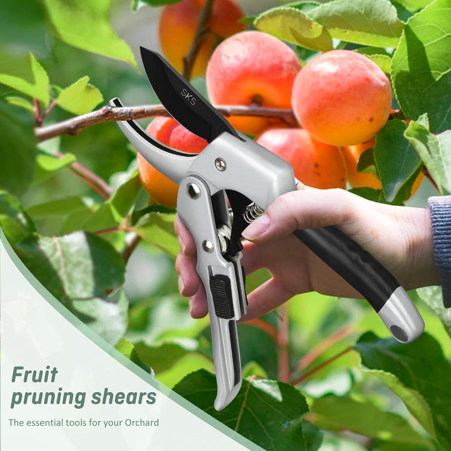 Premium SK5 Steel Garden Pruning Scissors – Precision Gardening Shears